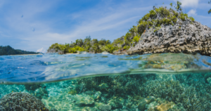 Leia mais sobre o artigo Década dos Oceanos